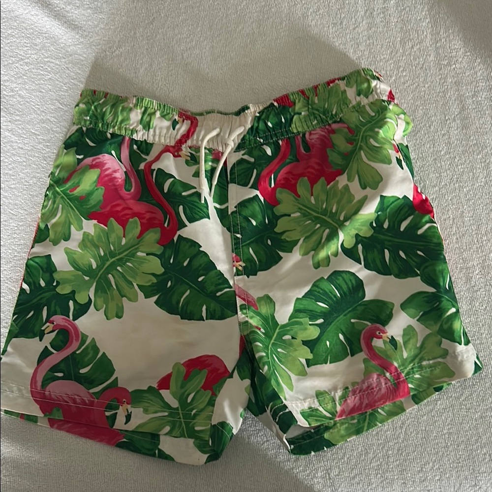 Tropical Flamingo Print Men's Shorts